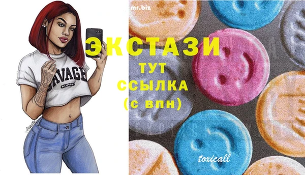 гидра Гусиноозёрск