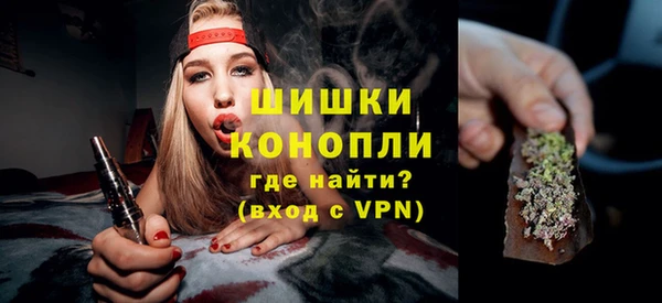 гидра Гусиноозёрск