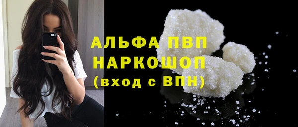 гидра Гусиноозёрск