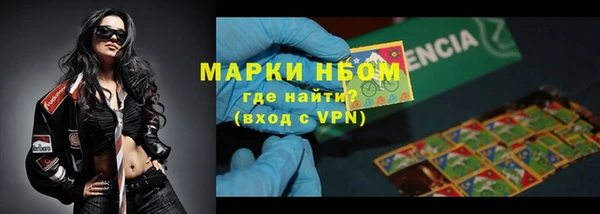 стаф Дмитровск