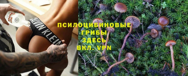 стаф Дмитровск
