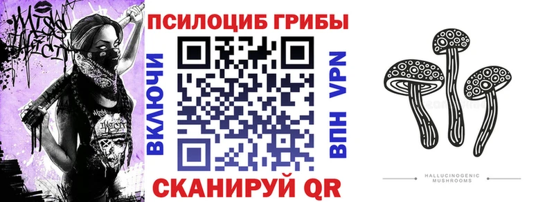 ссылка на мегу ТОР  хочу наркоту  Очёр  Галлюциногенные грибы Cubensis 